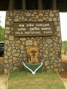 img/gallery/Yala National Park/yala_thumb.jpg
